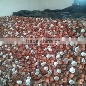 Dried Coconut Meat Ball Copra From India thumbnail-6