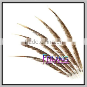 CHEAP PHEASANT GOLDEN FEATHERS thumbnail-1