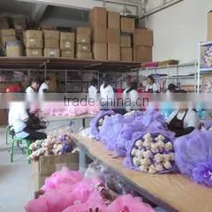 Youyouduyu (Beijing) Cultural Development Co., Ltd. company overview - view 2 thumbnail