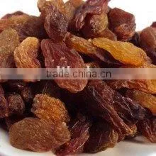 Natural Sultana/zante Currant--HOT SALES thumbnail-1