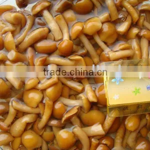Canned Mushrooms thumbnail-1