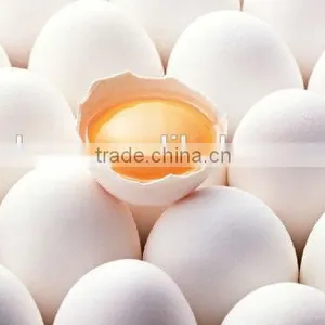 Zhenjiang Hot Sale Egg White Protein Powder Spray Dried thumbnail-2