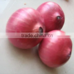 Fresh Red Onion thumbnail-1