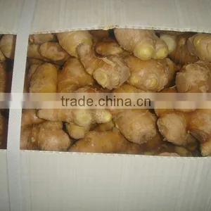 CHINESE FRESH GINGER thumbnail-1