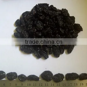 Raisin thumbnail-4
