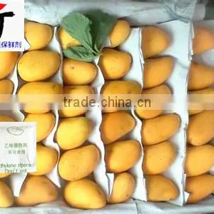 Very High Quality Mango Ripener Ethylene(26) thumbnail-1