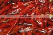 Chilly Powder Red thumbnail-4
