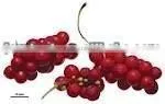 Natural Schisandra Chinensis Extract Powder thumbnail-1