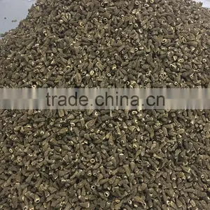 Dried Morchella Conica Special Grade thumbnail-1