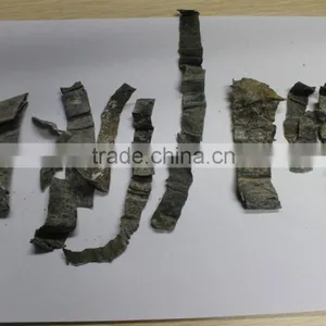 Wholesale Price Abalone Feed Dried Seaweed Sheet|kelp|laminaria Japonica Cut thumbnail-1