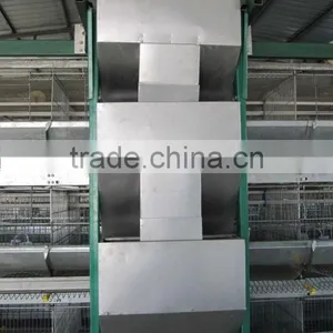 China Sell Automatic Quail Cages and Equipment thumbnail-4
