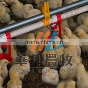 Poultry Feed Equipment / Poultry Equipment for Chicken Farming thumbnail-1