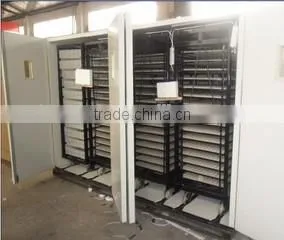 Egg Incubator New Technology thumbnail-1