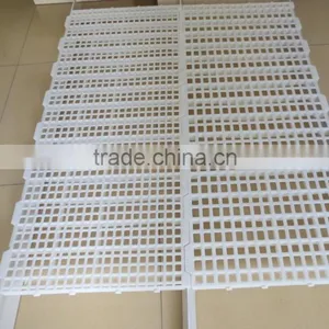Plastic Chicken Slat Floor for Sale thumbnail-3