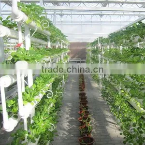 Grow Hydroponc System thumbnail-1