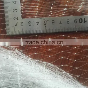 100% Virgin HDPE Bird Netting/protection Net /Antihail Net/Agriculture Net/net thumbnail-4