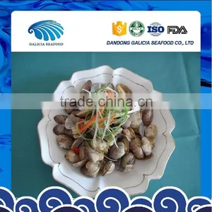 Frozen Delicious Variegated Clams Top Quality Low Price thumbnail-1