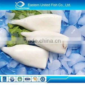 Seafood Frozen Illex Squid Tube U10 u7 u5 thumbnail-1