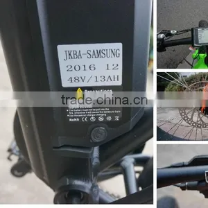 48v 750w Strong Powered Brushless Hub Motor Electric Bicycle Fat Tire Electric Bike thumbnail-5