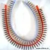 Sell Collated Drywall Screw thumbnail-1