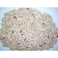 Light Speckled Kidney Beans thumbnail-1