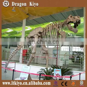 2015 Life Size Dinosaur Park Equipment Dinosaur Skeleton thumbnail-1
