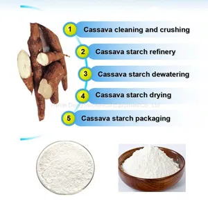 Complete Sweet Potato Starch Production Line thumbnail-1