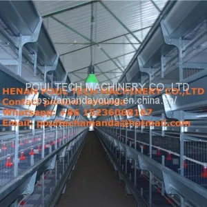 Qatar Brooding Chicks in Room for Chicken Supplies With Baby Chicken Cage & Chicks Coop thumbnail-1