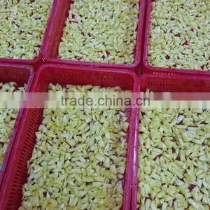 Best Price Vietnam Frozen Yellow Pineapple Fruit thumbnail-1