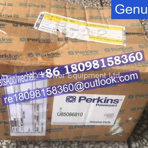 Ch11037 Perkins Belt Ch11202 Ch11186 for 2306TAG 2006TAG /genuine Original Engine Parts thumbnail-3