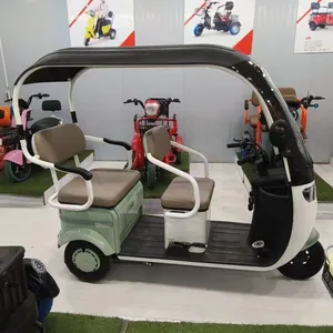 New Electric Tricycle Adults e Trike 3 Wheel Cargo Bike Passenger Motorcycle Adult Electric Tricycles With Roof thumbnail-4