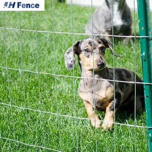 1X1 2X4 Galvanized Welded Wire Mesh/ 1/2 X 1/2 PVC Coated Welded Wire Mesh/Welded Mesh Fencing thumbnail-2