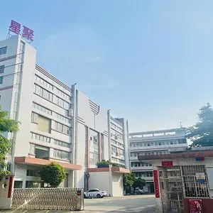 Guangdong Polystar Materials Technology Co.,Ltd. company overview - view 1 thumbnail