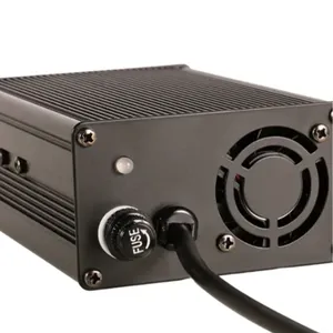 LiFePO4 battery charger (1)