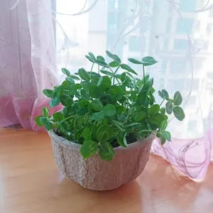 Molded Fiber Disposable Garden Planter 3.5L Capacity Compostable Pots With Soil Degradation thumbnail-2