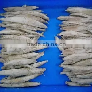 Grade A Seafood Per-cooked Bonito Tuna Loin thumbnail-1