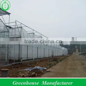Anti-high Wind Strong Film Greenhouse thumbnail-1