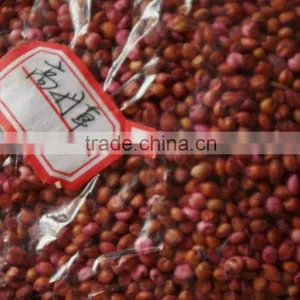 2016 New Forage Grass Seeds Sorghum Sudan Grass Seeds For Growing thumbnail-5