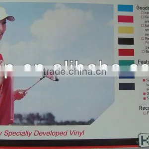 Bus Body Specilly Developped Vinyl thumbnail-2