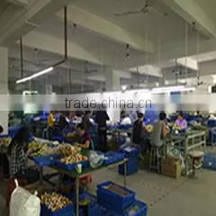 Shenzhen Yunqiang Optoelectronics Co., Ltd. company overview - view 3 thumbnail