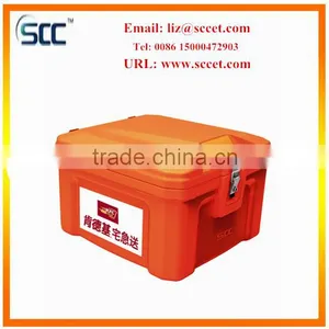 60L Plastic Hot Box For Transport Food (pizzas, Hot Food) to Place on a Scooter thumbnail-2