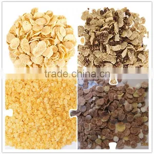 Hot Sale Automatic Corn Flakes Production Line thumbnail-6