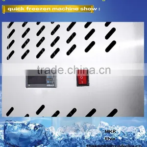 Rozen Ark Stainless Steel Two-door Big Production Can be Customized Seafood Frozen Ark thumbnail-3
