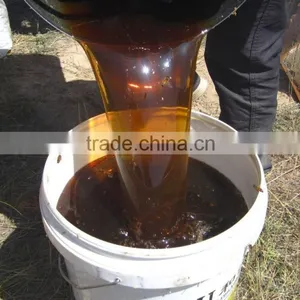 Buckwheat Honey thumbnail-4