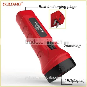High Brightness 5pcs Led Flashlight thumbnail-1