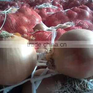 Onion thumbnail-3