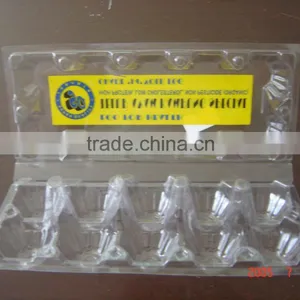 pp Cake Case Thermoforming Machine thumbnail-6