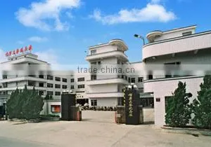 Guangdong Xinning Technology Toy Factory company overview - view 1 thumbnail