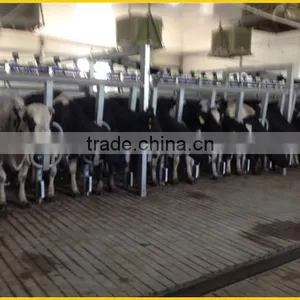 Dairy Farm Cylinder of Automatic Cluster Removal Milking Machine thumbnail-2