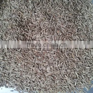 Cumin Seed thumbnail-3
